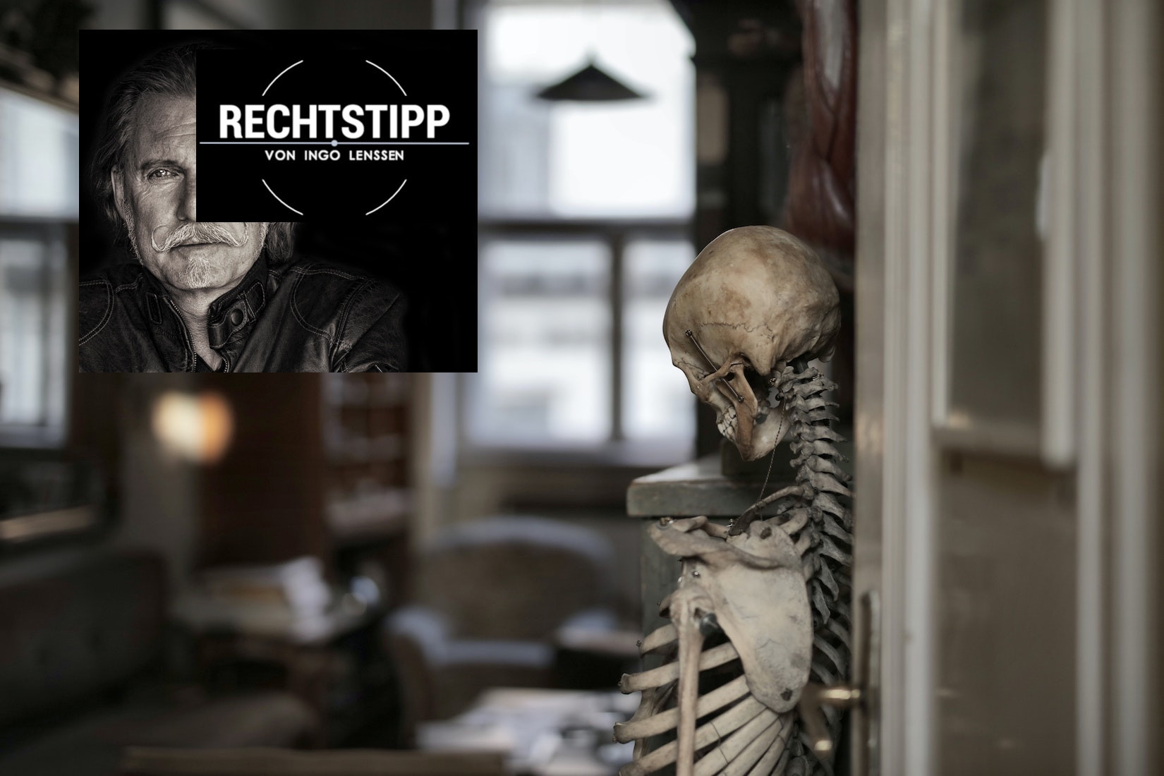 skeleton-in-museum-room _pexels